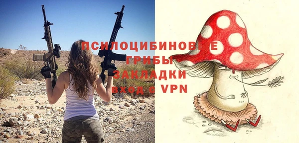mdpv Киреевск
